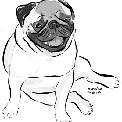 Pug Thumbnail