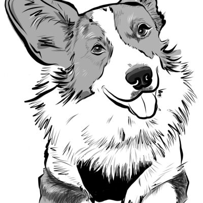 Corgi Thumbnail