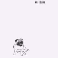 It's a Pug's Life Design