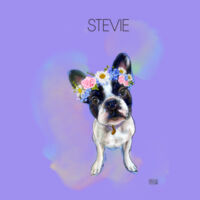 Stevie on tie die tshirt Design