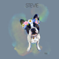 Stevie on can cooler Design