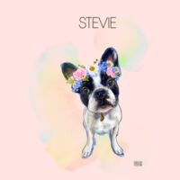 Stevie on Tote Design