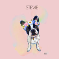 Stevie on AS Colour Premium Hoodie Design