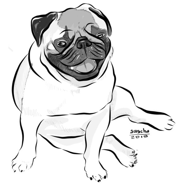 Pug Thumbnail