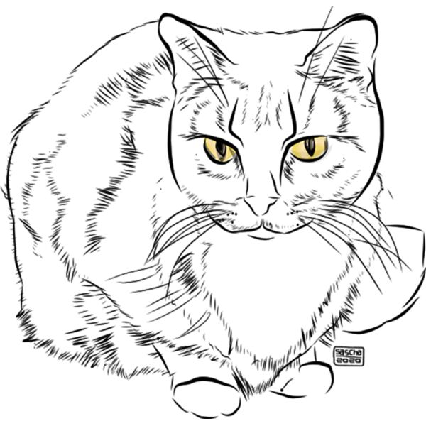 Tabby Cat Doodle Thumbnail