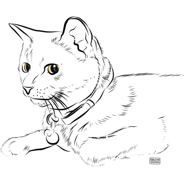 Grey Cat Doodle Thumbnail