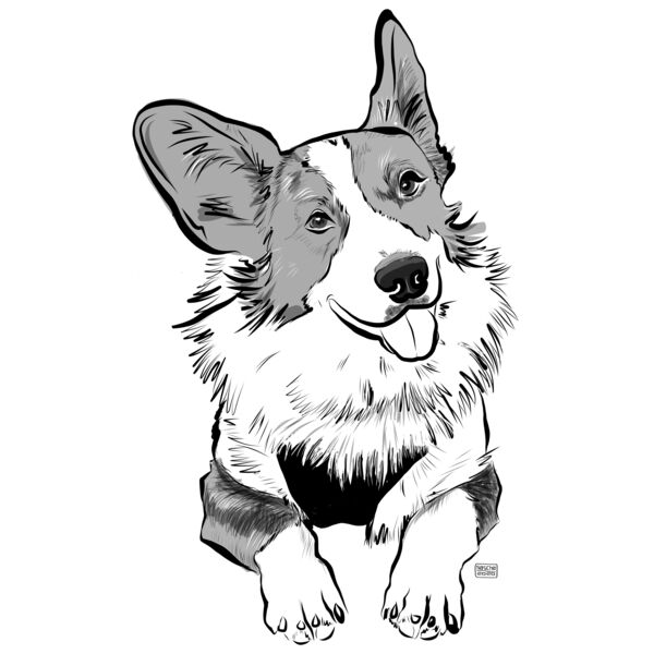 Corgie Thumbnail